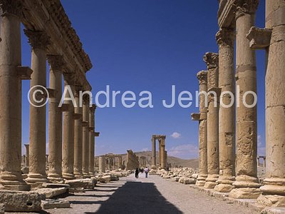 Avenue with columns General view | Andrea Jemolo