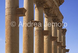 Column with shelves  | Andrea Jemolo