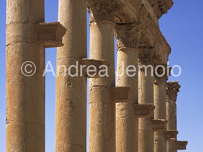 Column with shelves  | Andrea Jemolo