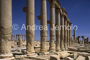 Avenue with columns General view | Andrea Jemolo