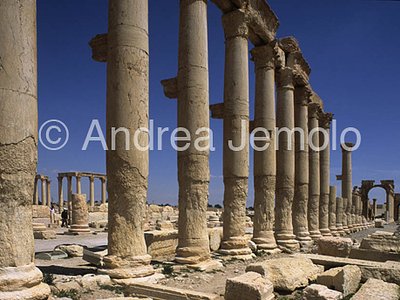 Avenue with columns General view | Andrea Jemolo