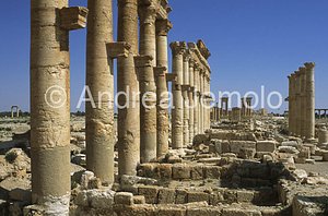Avenue with columns General view | Andrea Jemolo
