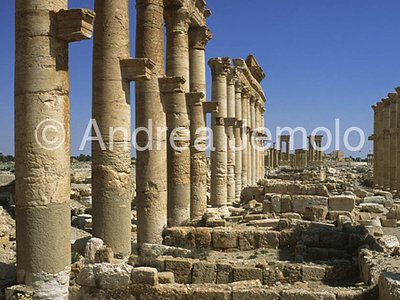 Avenue with columns General view | Andrea Jemolo