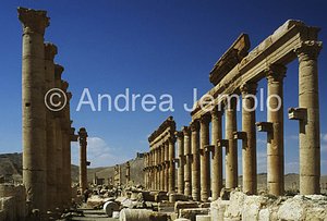 Avenue with columns General view | Andrea Jemolo