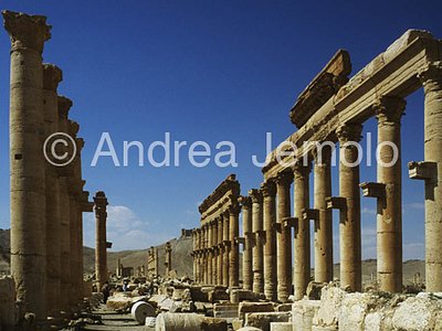 Avenue with columns General view | Andrea Jemolo