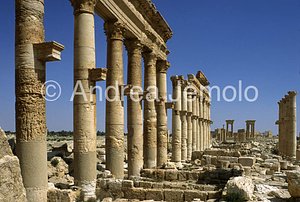 Avenue with columns General view | Andrea Jemolo