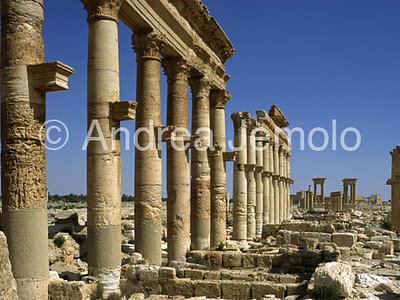 Avenue with columns General view | Andrea Jemolo