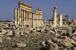 Avenue with columns General view | Andrea Jemolo