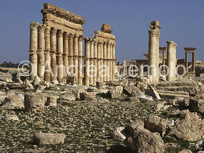 Avenue with columns General view | Andrea Jemolo