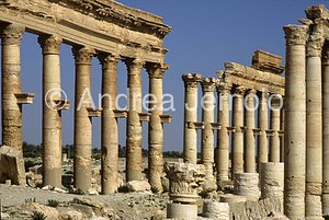 Avenue with columns General view | Andrea Jemolo