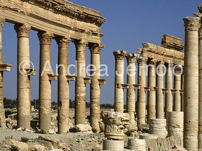 Avenue with columns General view | Andrea Jemolo