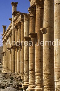 Column with shelves  | Andrea Jemolo