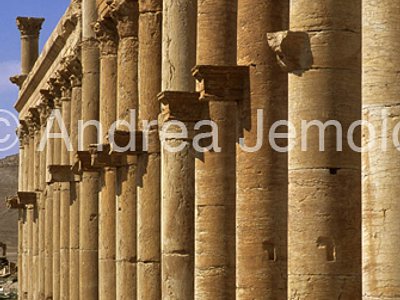 Column with shelves  | Andrea Jemolo