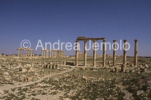 Camp of Diocletian General view | Andrea Jemolo