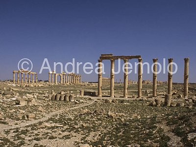 Camp of Diocletian General view | Andrea Jemolo