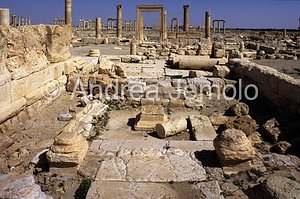 Temple of Allat General view | Andrea Jemolo