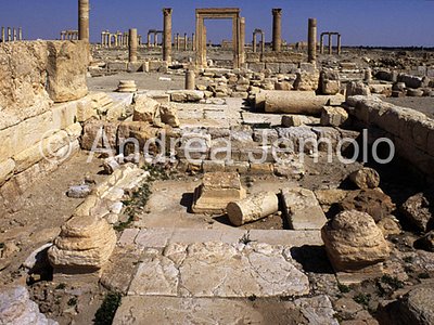 Temple of Allat General view | Andrea Jemolo