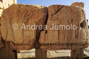 Temple of Baal Frieze | Andrea Jemolo