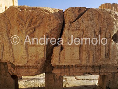 Temple of Baal Frieze | Andrea Jemolo