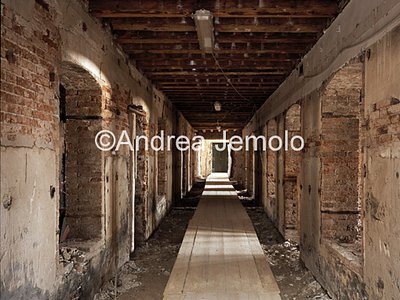 Tadao Ando | Andrea Jemolo