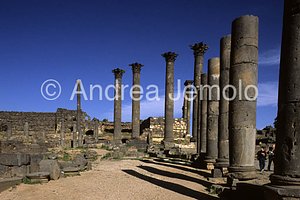 Avenue with columns General view | Andrea Jemolo