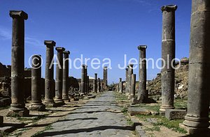 Avenue with columns General view | Andrea Jemolo