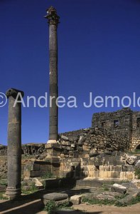 Avenue with columns General view | Andrea Jemolo