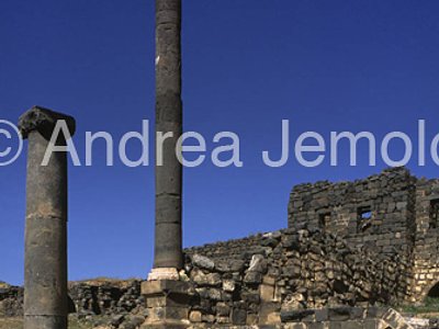 Via colonnata Visione d'insieme | Andrea Jemolo