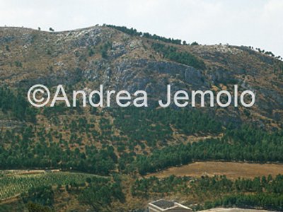 Visione della valle  | Andrea Jemolo