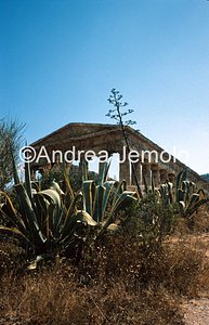 Temple  | Andrea Jemolo