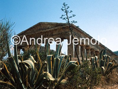 Tempio  | Andrea Jemolo