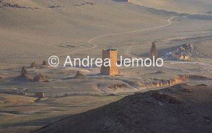 Tombs valley General view | Andrea Jemolo