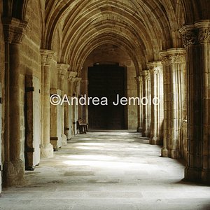 Old cathedral Cloister | Andrea Jemolo