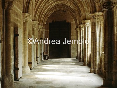 Old cathedral Cloister | Andrea Jemolo