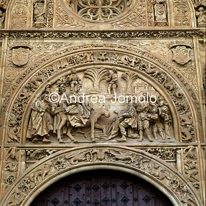 Catedral Nueva Decorations plateresche | Andrea Jemolo