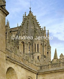 Old cathedral Tower de los Gallo | Andrea Jemolo
