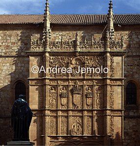 University  | Andrea Jemolo
