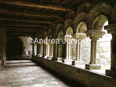 Santa Maria la Real de Sar Chiostro | Andrea Jemolo