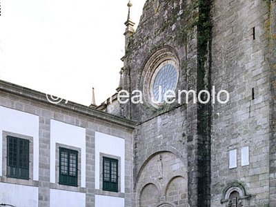 Tuy | Andrea Jemolo