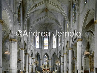 Collegiate of Basílica de Santa Maria La Seu Interior | Andrea Jemolo