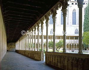 Sant Francesc Cloister | Andrea Jemolo