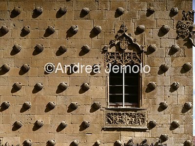 Casa de las Conchas  | Andrea Jemolo