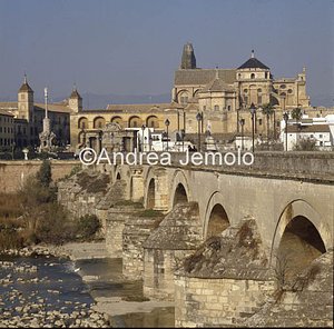 Roman bridge General view | Andrea Jemolo