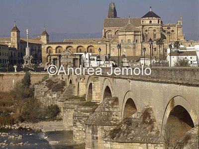 Roman bridge General view | Andrea Jemolo