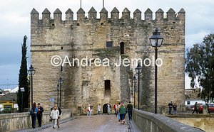 Tower of Colahorra  | Andrea Jemolo
