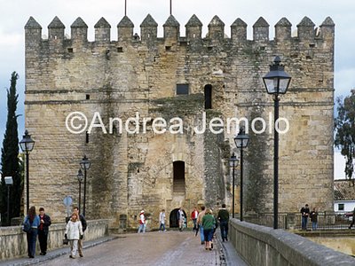 Tower of Colahorra  | Andrea Jemolo