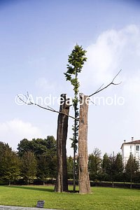 Venaria Reale Tra scorza e scorza - Art installation | Andrea Jemolo
