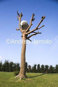 Venaria Reale Idee di pietra - Art installation | Andrea Jemolo