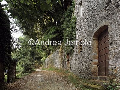 Villa Puccini  | Andrea Jemolo