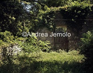Villa Puccini  | Andrea Jemolo